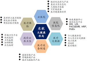 东软集团 深耕医疗信息化，软件与系统集成构筑核心支柱
